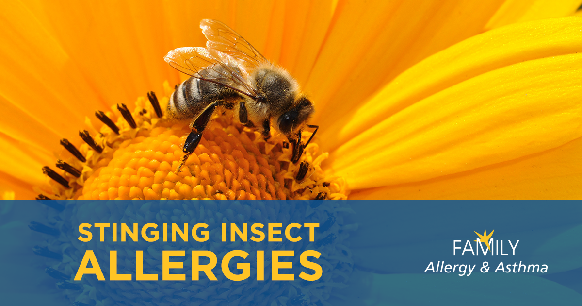 Stinging Insect Allergy Family Allergy & Asthma