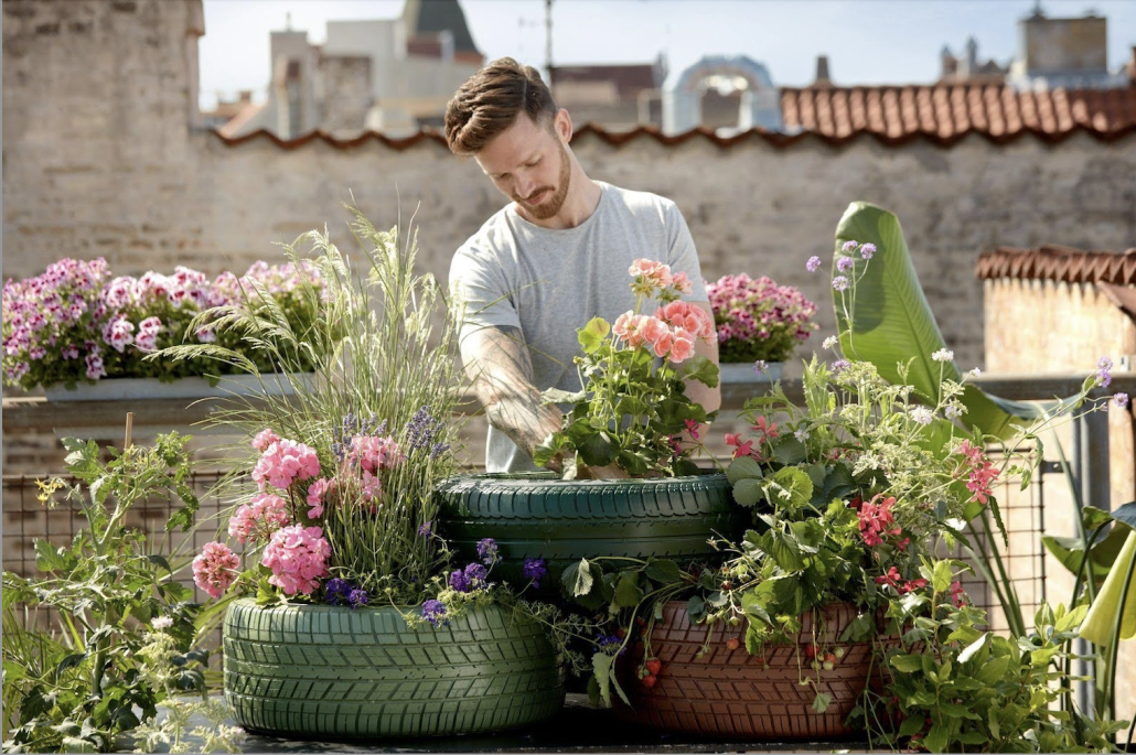 Man planting flowers on rooftop garden