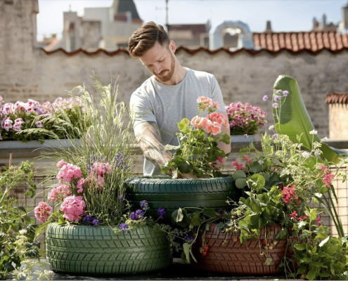 Man planting flowers on rooftop garden