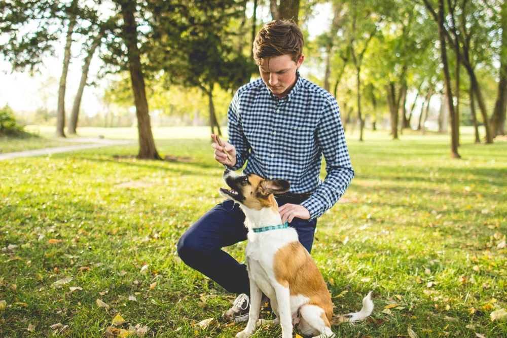 man holding stick in front of dog