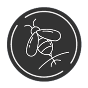 Inscect Testing Icon